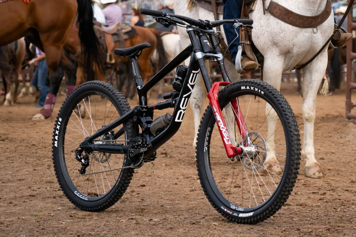 Rodeo
